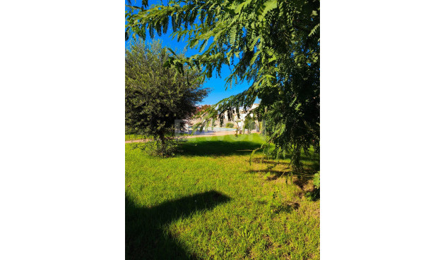 Wiederverkauf - Stadthaus - Torrevieja