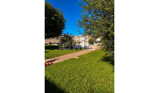 Wiederverkauf - Stadthaus - Torrevieja