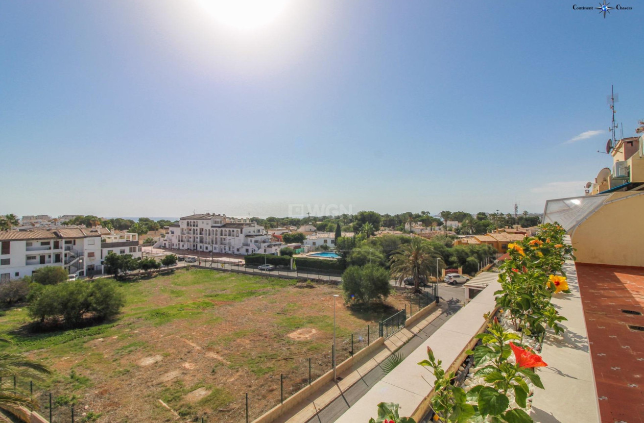 Odsprzedaż - Daszek - Torrevieja - Punta Prima