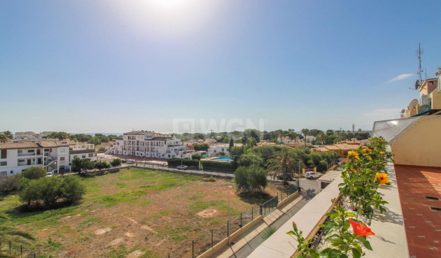 Odsprzedaż - Daszek - Torrevieja - Punta Prima