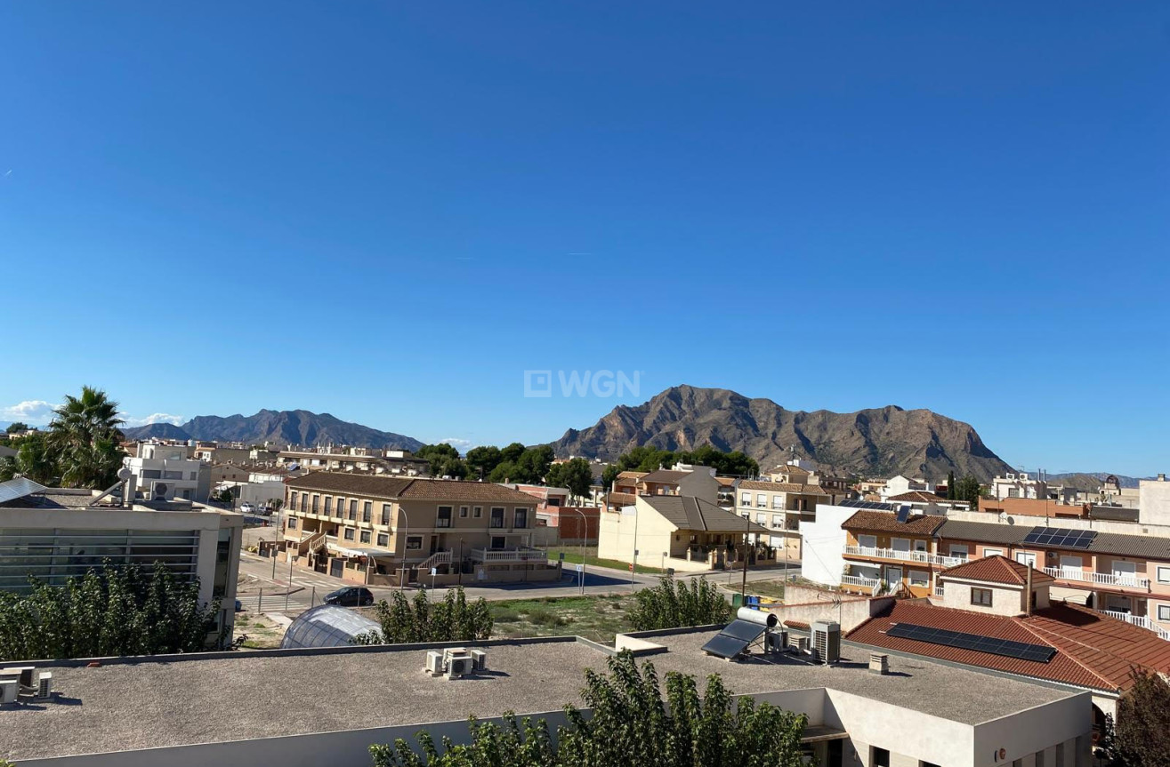 Odsprzedaż - Daszek - Rafal - Inland