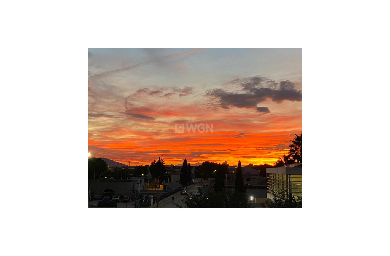 Odsprzedaż - Daszek - Rafal - Inland