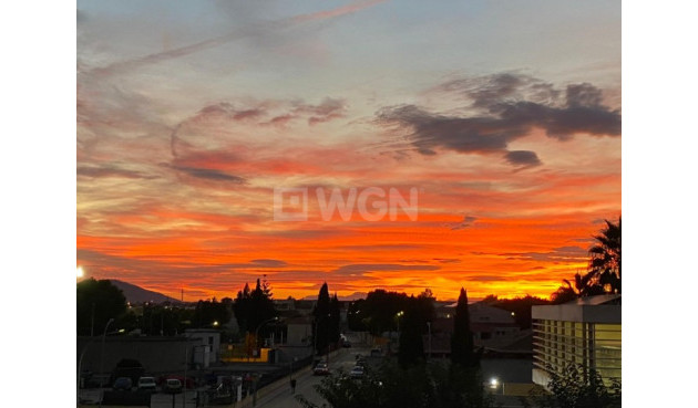 Odsprzedaż - Daszek - Rafal - Inland