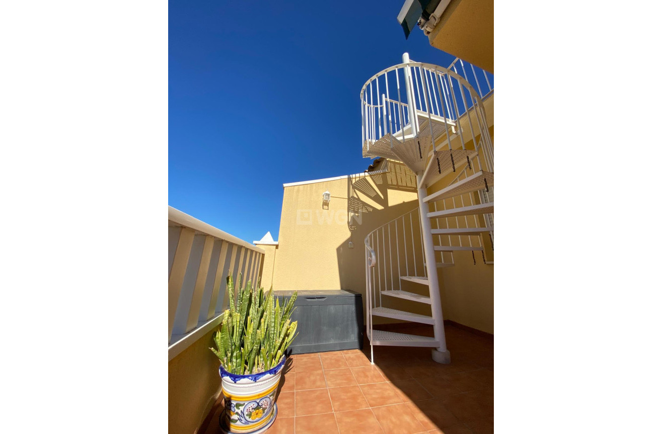 Odsprzedaż - Daszek - Rafal - Inland