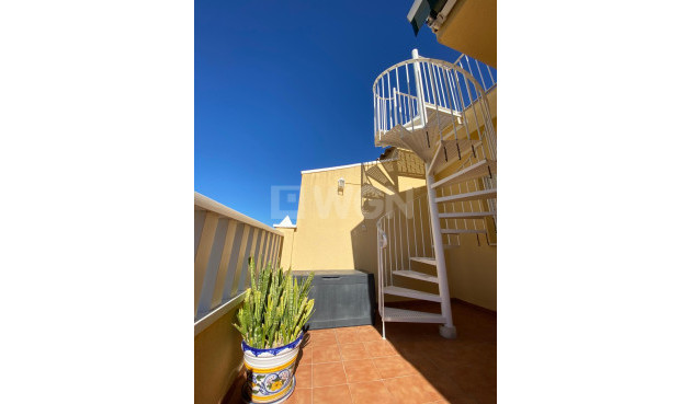 Odsprzedaż - Daszek - Rafal - Inland