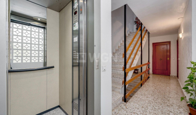 Odsprzedaż - Mieszkanie w bloku - Torrevieja - Centro