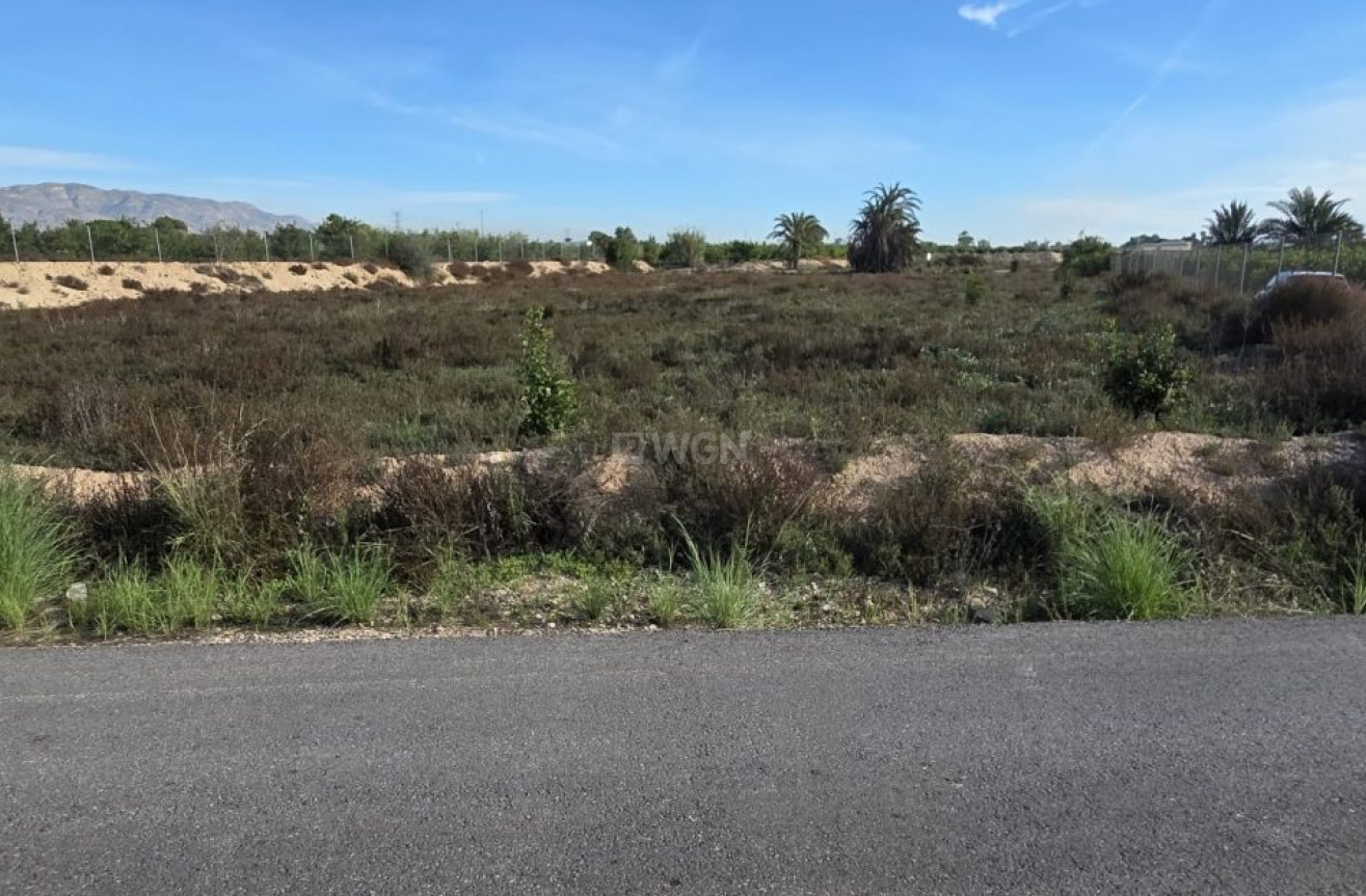 Odsprzedaż - Villa - Albatera - Inland