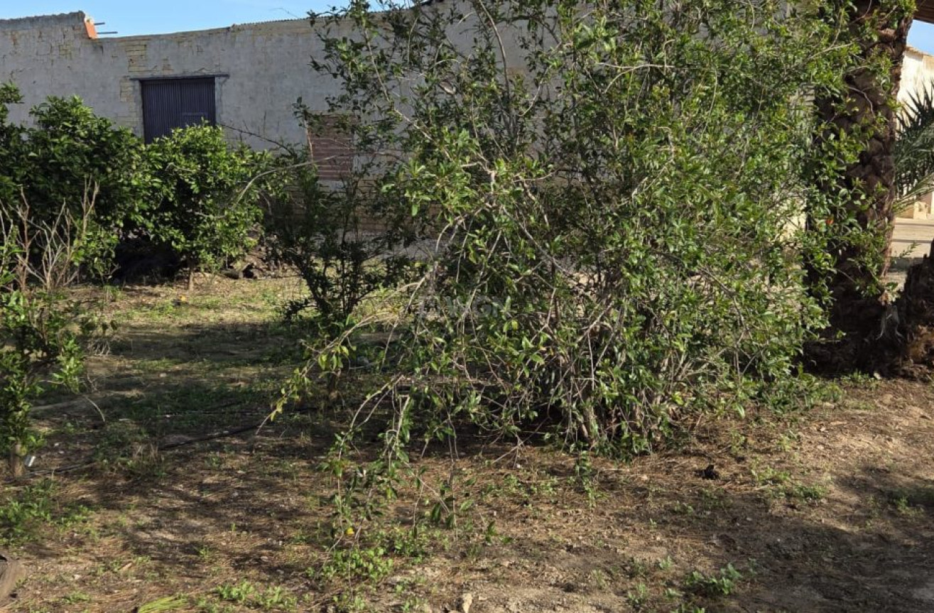 Odsprzedaż - Villa - Albatera - Inland