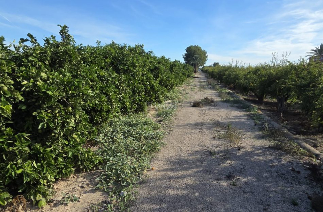 Odsprzedaż - Villa - Albatera - Inland