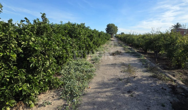 Odsprzedaż - Villa - Albatera - Inland