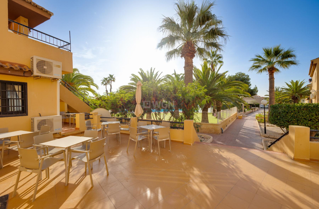 Odsprzedaż - Mieszkanie w bloku - Torrevieja - Costa Blanca