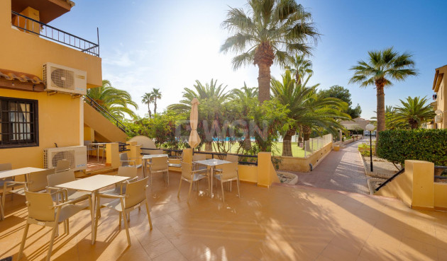 Odsprzedaż - Mieszkanie w bloku - Torrevieja - Costa Blanca
