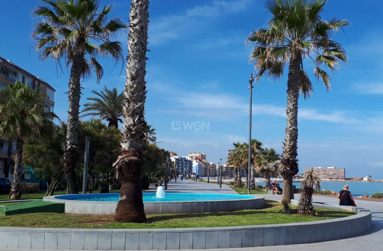 Odsprzedaż - Mieszkanie w bloku - Torrevieja - Curva Del Palangre