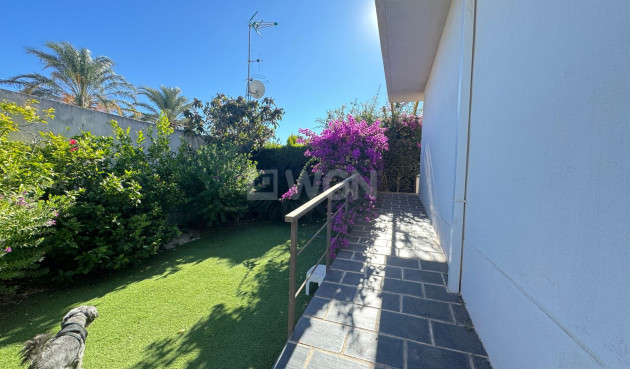 Odsprzedaż - Kamienica - Pilar de la Horadada - Costa Blanca