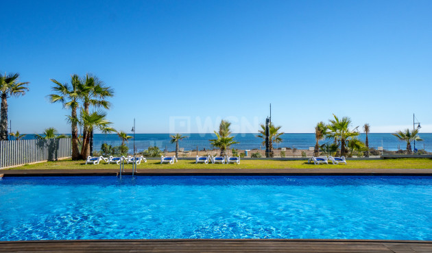 Reventa - Ático - Torrevieja - Costa Blanca