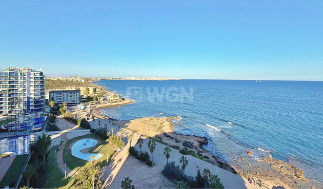 Odsprzedaż - Daszek - Torrevieja - Costa Blanca