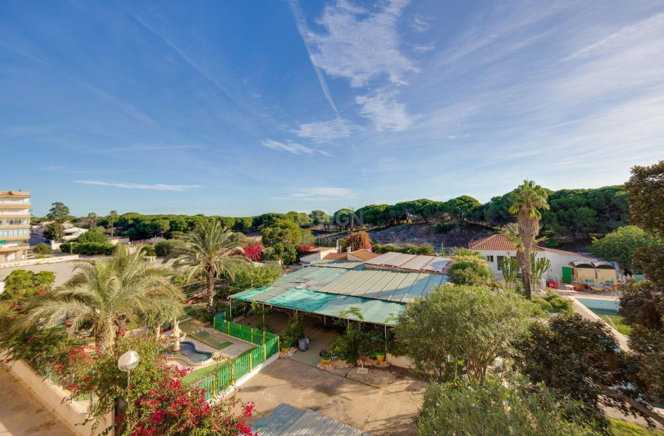 Odsprzedaż - Mieszkanie w bloku - Guardamar del Segura - Pinomar