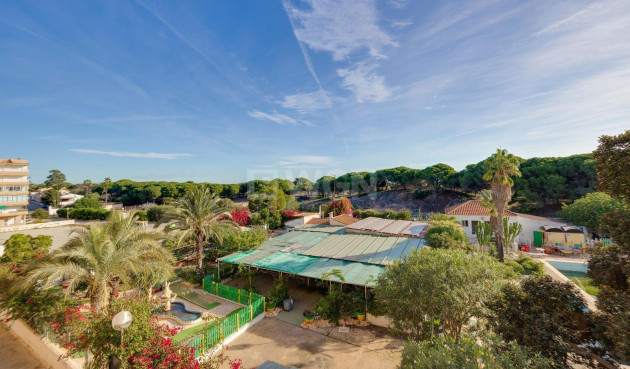 Odsprzedaż - Mieszkanie w bloku - Guardamar del Segura - Pinomar