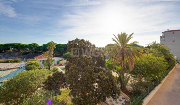 Odsprzedaż - Mieszkanie w bloku - Guardamar del Segura - Pinomar