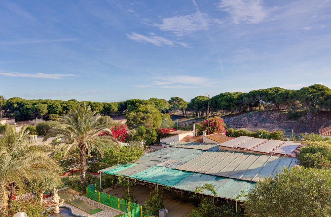 Odsprzedaż - Mieszkanie w bloku - Guardamar del Segura - Pinomar