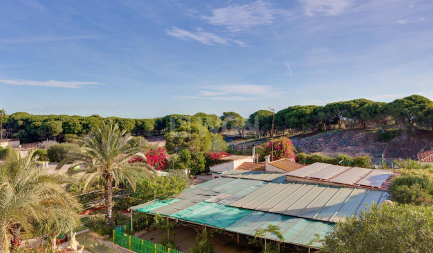 Odsprzedaż - Mieszkanie w bloku - Guardamar del Segura - Pinomar