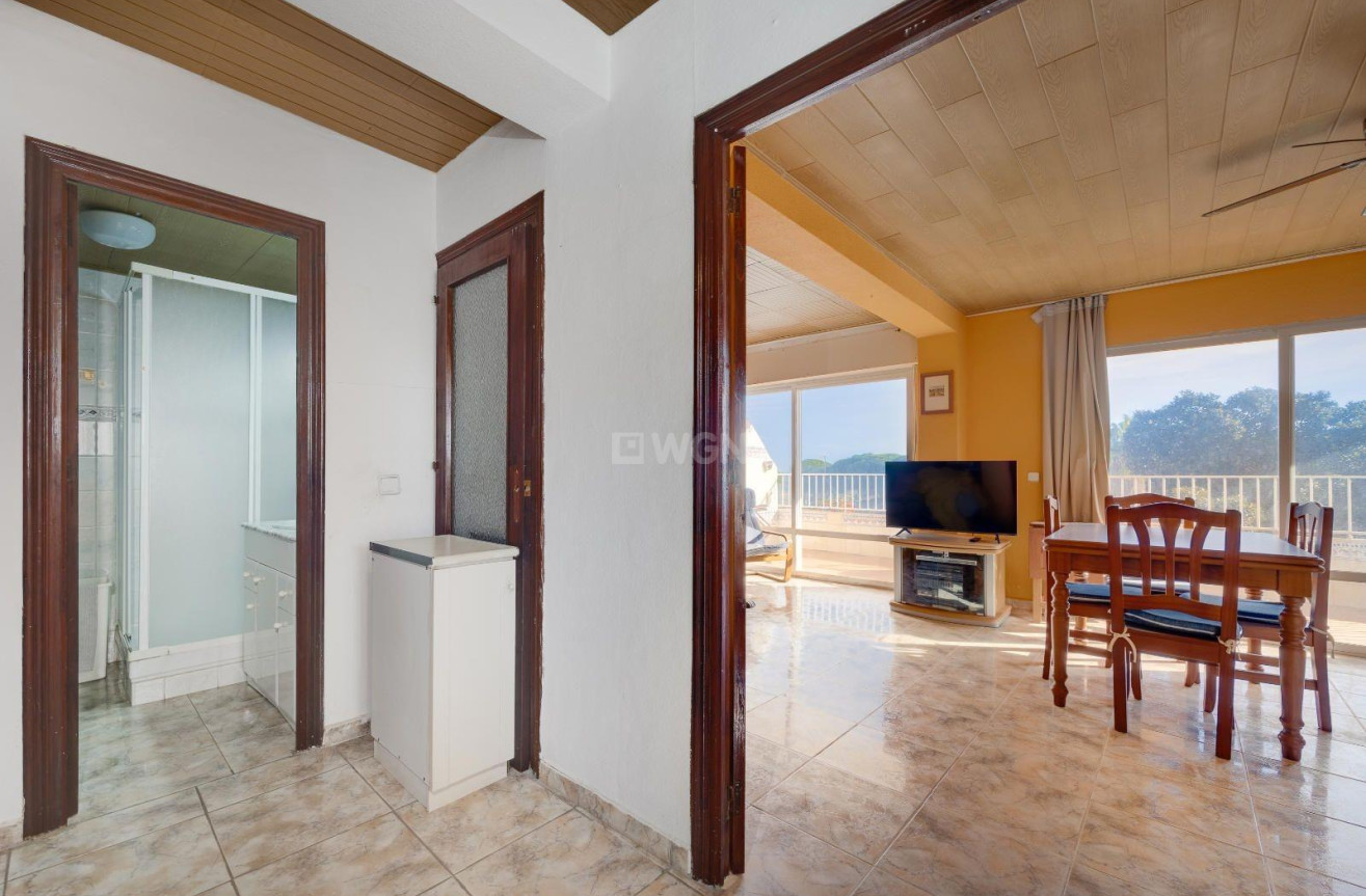 Odsprzedaż - Mieszkanie w bloku - Guardamar del Segura - Pinomar