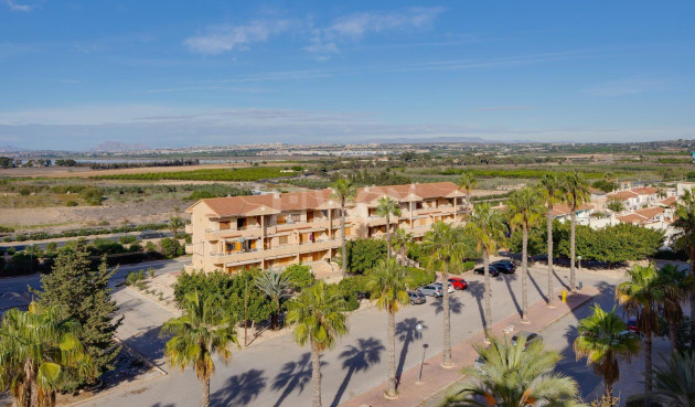 Odsprzedaż - Mieszkanie w bloku - Guardamar del Segura - Pinomar