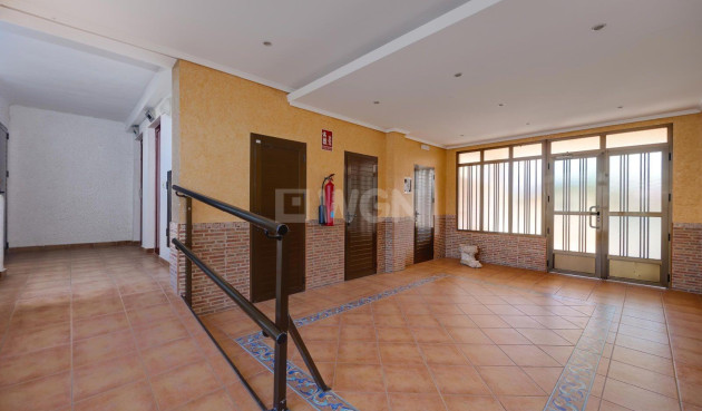 Odsprzedaż - Mieszkanie w bloku - Guardamar del Segura - Pinomar