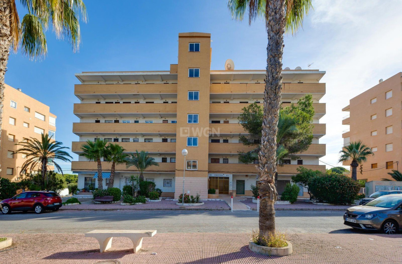 Odsprzedaż - Mieszkanie w bloku - Guardamar del Segura - Pinomar