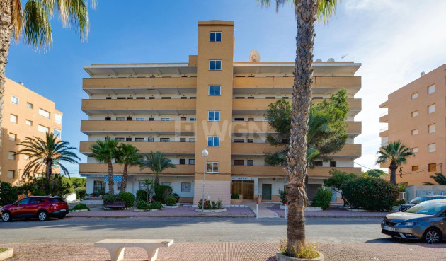 Odsprzedaż - Mieszkanie w bloku - Guardamar del Segura - Pinomar