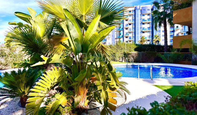 Odsprzedaż - Mieszkanie w bloku - Torrevieja - Punta Prima