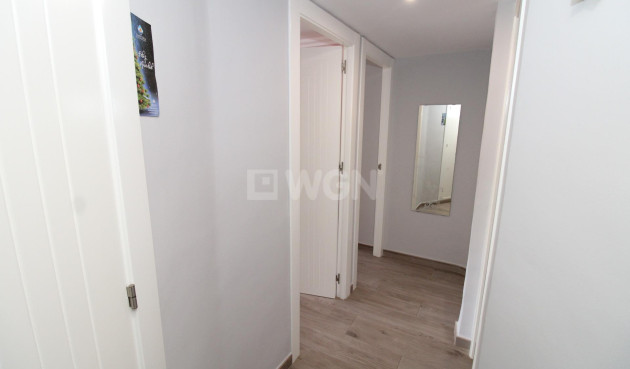 Odsprzedaż - Mieszkanie w bloku - Lo Pagan - LA PUNTICA