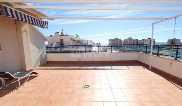 Resale - Penthouse - Pilar de la Horadada - Costa Blanca