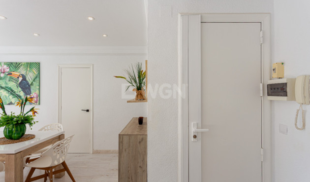 Odsprzedaż - Mieszkanie w bloku - Torrevieja - Costa Blanca