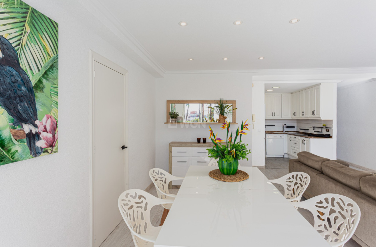 Odsprzedaż - Mieszkanie w bloku - Torrevieja - Costa Blanca