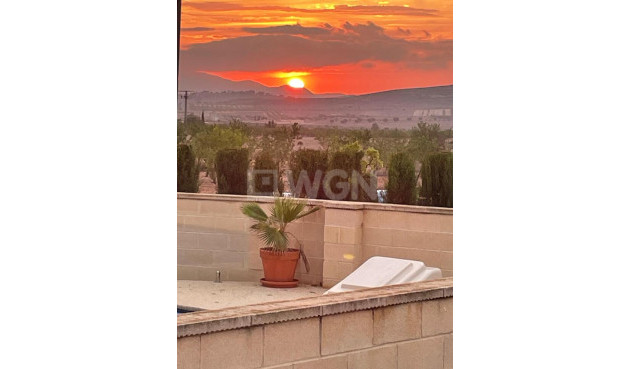 Odsprzedaż - Villa - Canada del Trigo - Inland