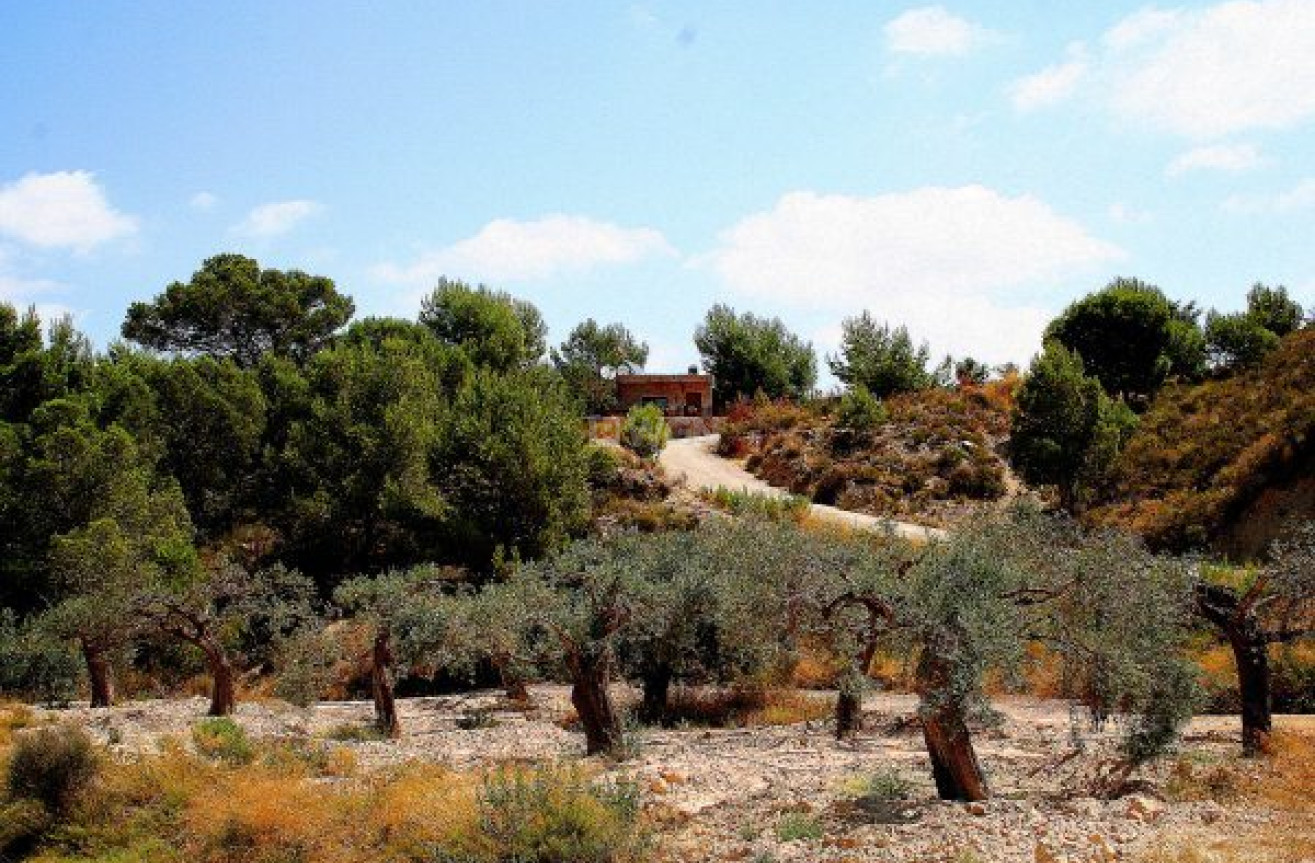 Odsprzedaż - Villa - Gea Y Truyols - Sierra de Columbares Natural Park