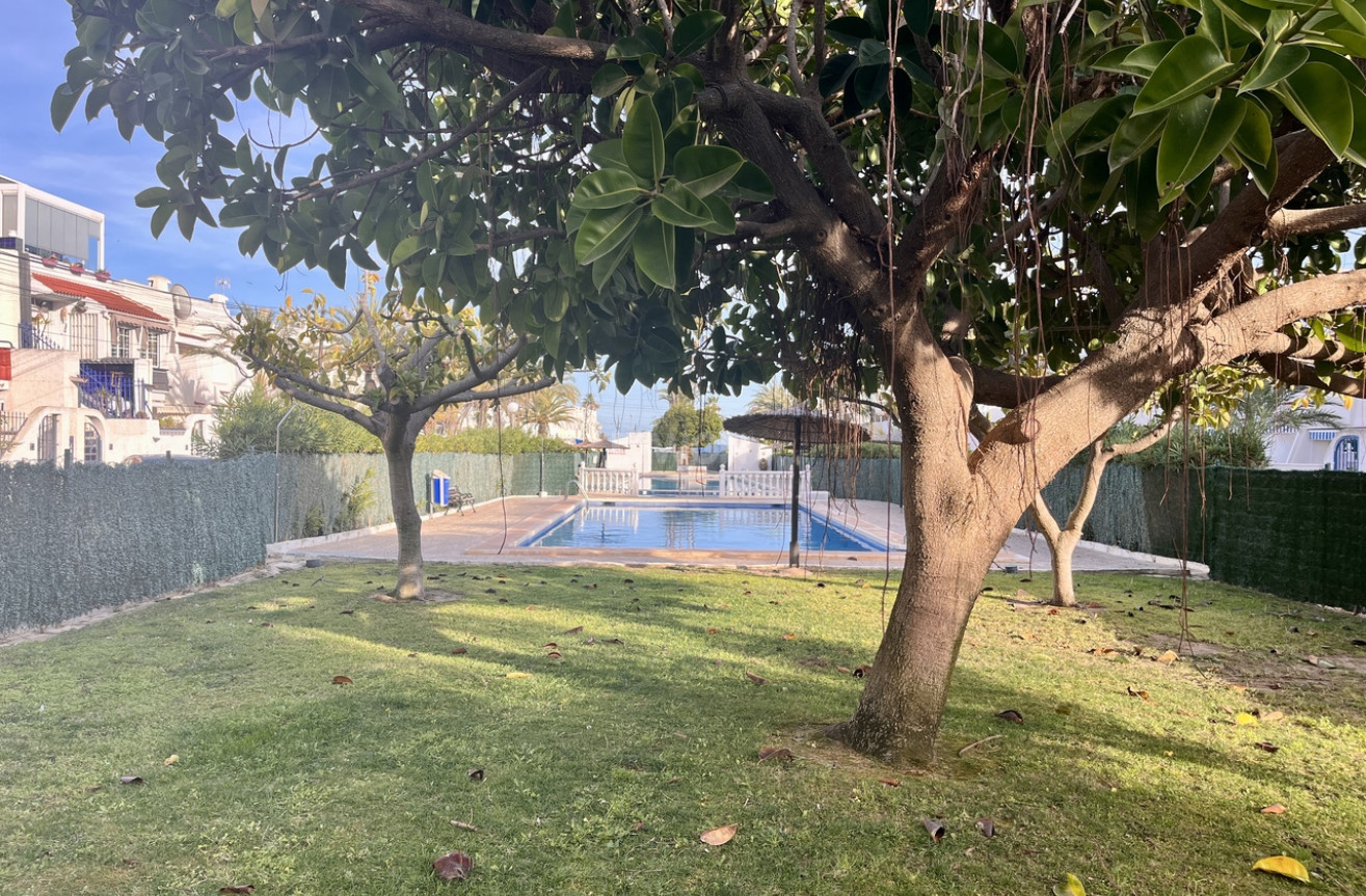 Odsprzedaż - Mieszkanie w bloku - Torrevieja - Costa Blanca