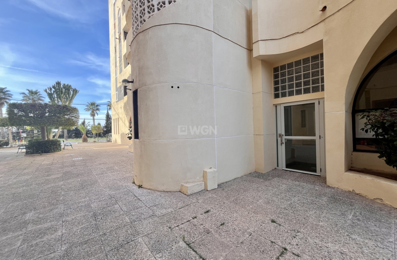 Odsprzedaż - Mieszkanie w bloku - Torrevieja - Costa Blanca