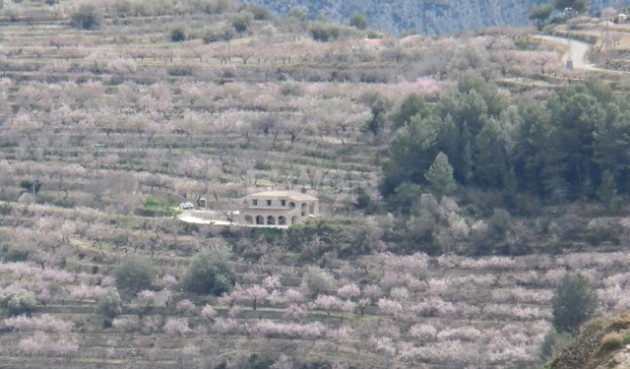 Reventa - Villa - Tárbena - Inland