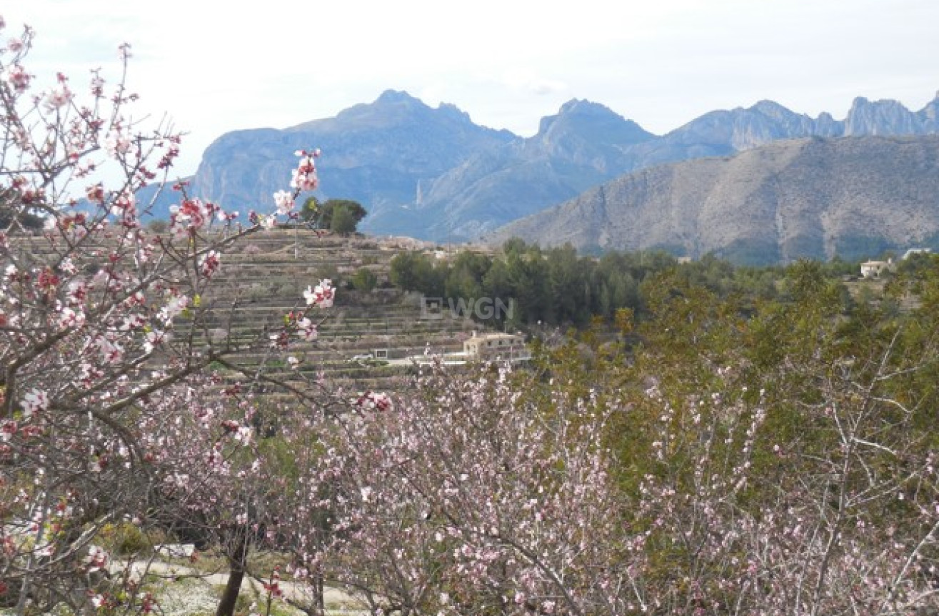 Reventa - Villa - Tárbena - Inland