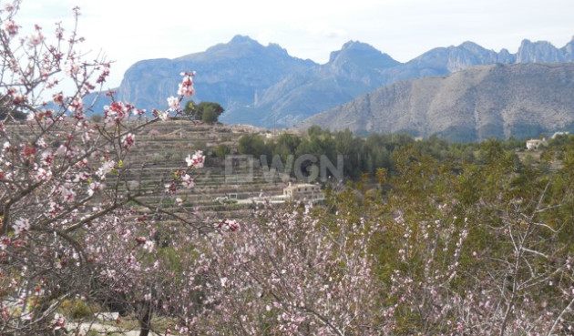 Reventa - Villa - Tárbena - Inland