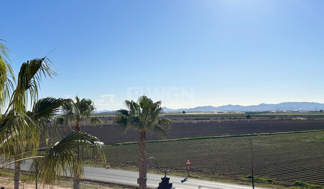 Odsprzedaż - Mieszkanie w bloku - Mar Menor Golf Resort - Inland