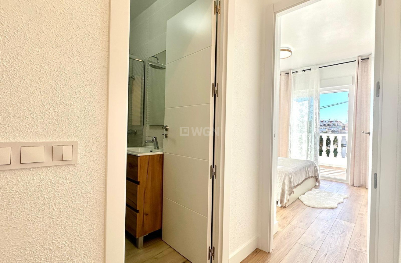 Odsprzedaż - Kamienica - Torrevieja - Estacion De Autobuses