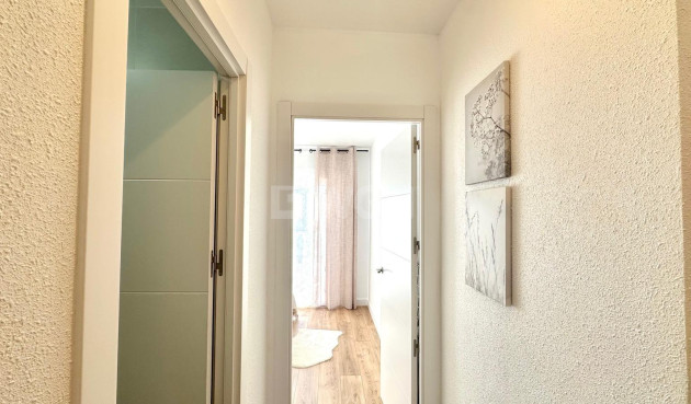 Odsprzedaż - Kamienica - Torrevieja - Estacion De Autobuses