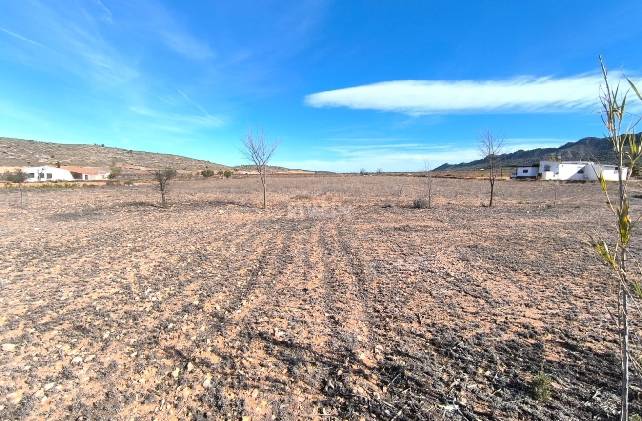 Odsprzedaż - Villa - Yecla - Inland