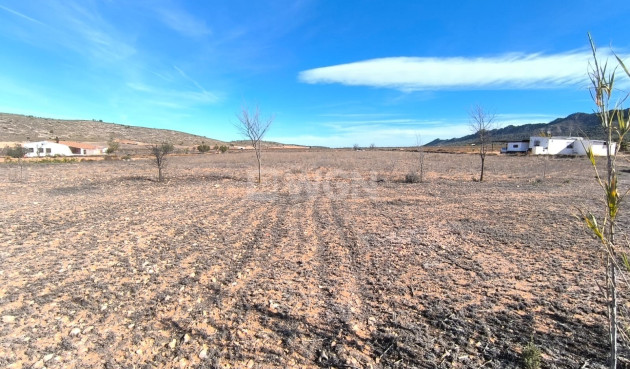 Odsprzedaż - Villa - Yecla - Inland