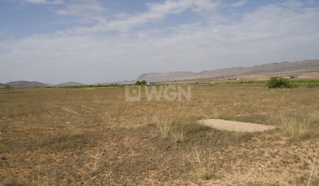 Odsprzedaż - Villa - Yecla - Inland