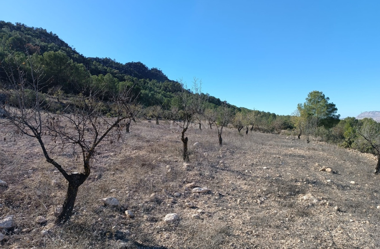 Odsprzedaż - Villa - Yecla - Inland