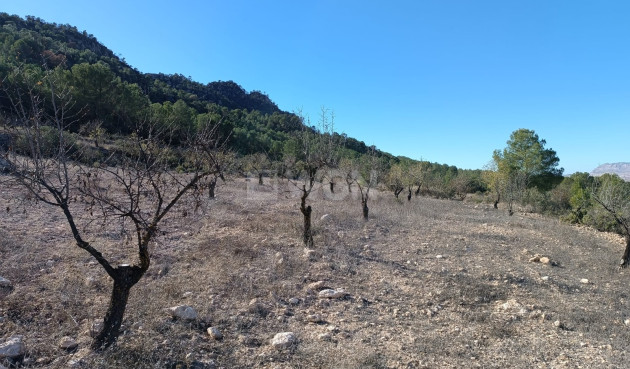 Odsprzedaż - Villa - Yecla - Inland